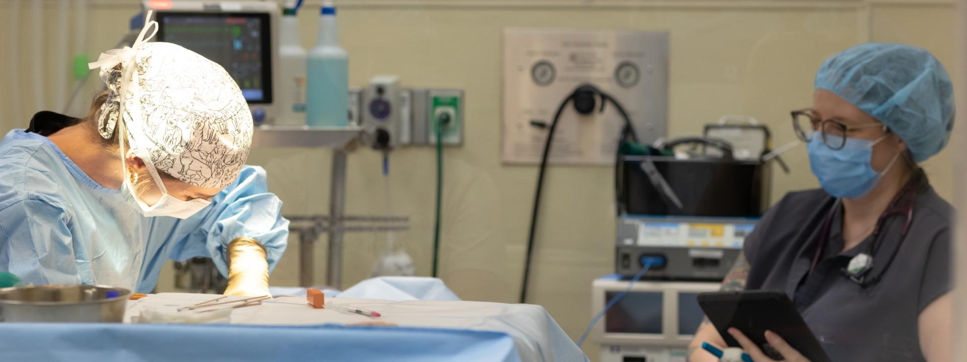 surgeon and technician in a procedure