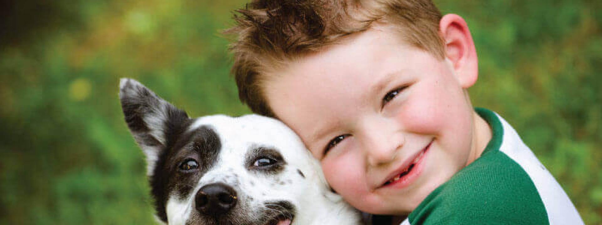 animal clinic animal clinic